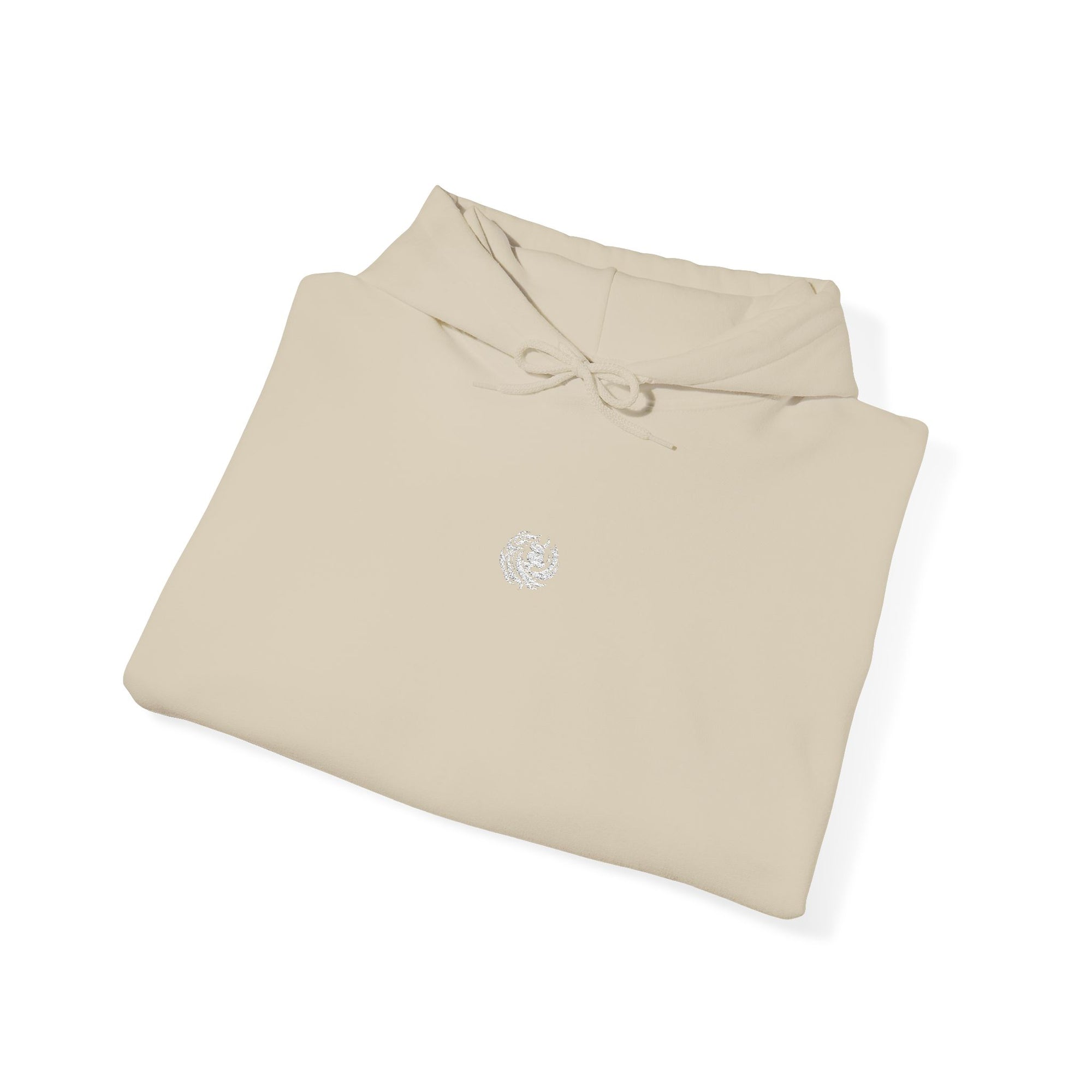 SCI Casual Embroidered Hoodie - Team Shazoo